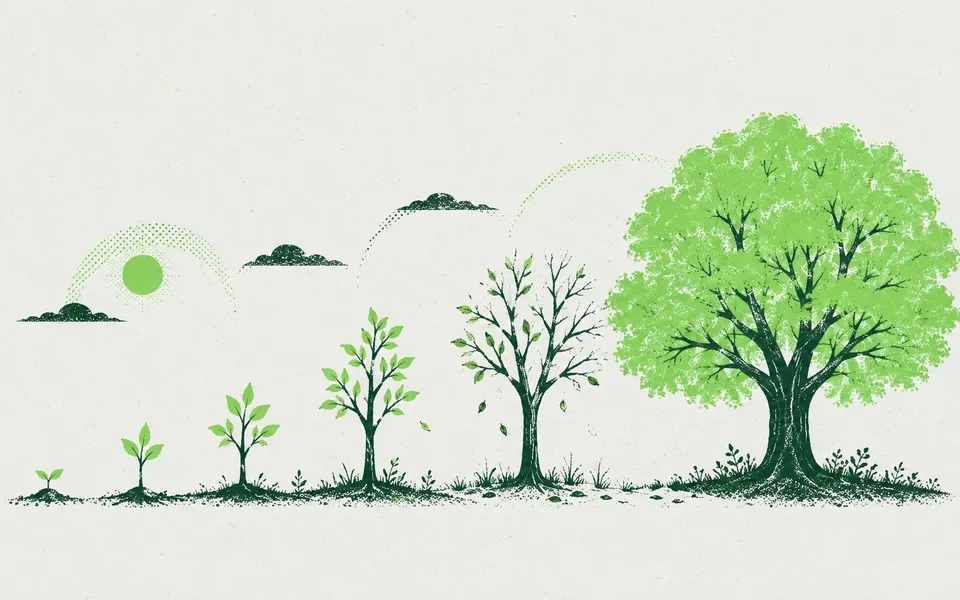 Illustration for “How Long Does SEO Take on Shopify? Real Timelines by Catalog Size”